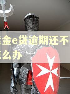 紫金e贷逾期还不上怎么办