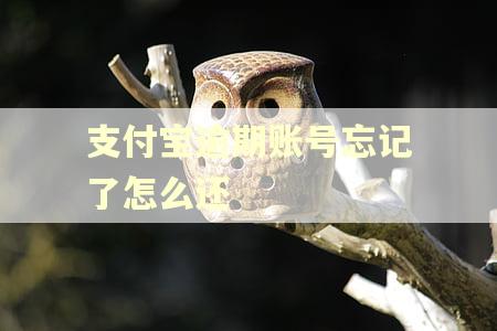 支付宝逾期账号忘记了怎么还