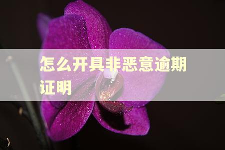 怎么开具非恶意逾期证明