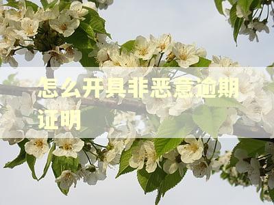 怎么开具非恶意逾期证明
