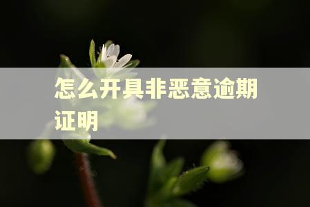 怎么开具非恶意逾期证明