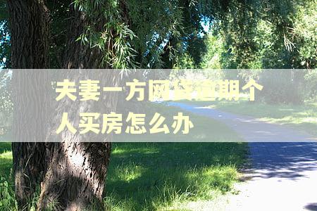 夫妻一方网贷逾期个人买房怎么办