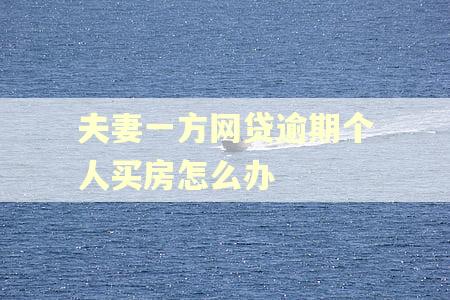 夫妻一方网贷逾期个人买房怎么办