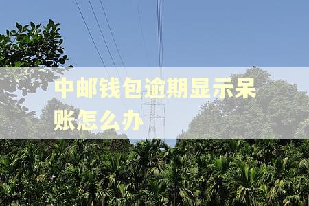 中邮钱包逾期显示呆账怎么办