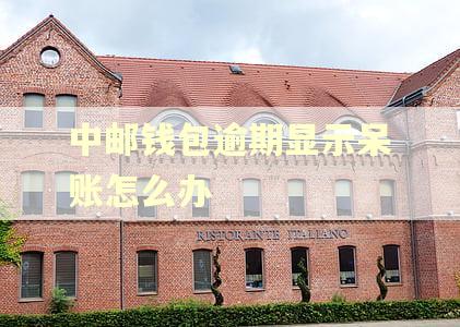 中邮钱包逾期显示呆账怎么办