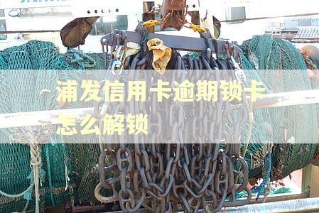 浦发信用卡逾期锁卡怎么解锁