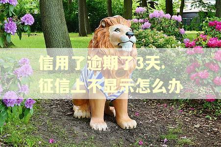 信用了逾期了3天.征信上不显示怎么办