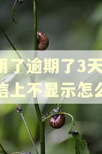 信用了逾期了3天.征信上不显示怎么办