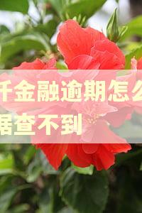 佰仟金融逾期怎么大数据查不到