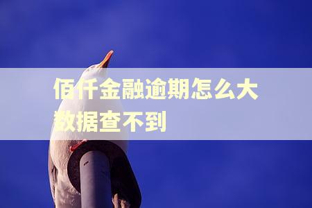 佰仟金融逾期怎么大数据查不到