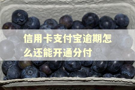 信用卡支付宝逾期怎么还能开通分付
