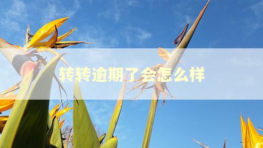 转转逾期了会怎么样
