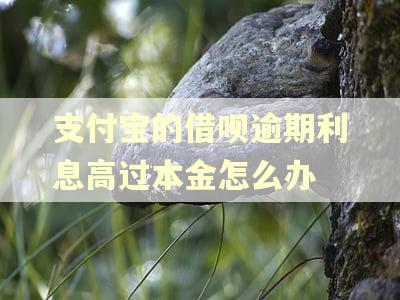 支付宝的借呗逾期利息高过本金怎么办