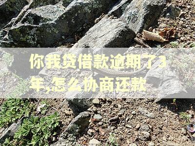 你我贷借款逾期了3年,怎么协商还款