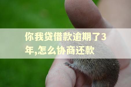 你我贷借款逾期了3年,怎么协商还款