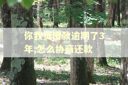 你我贷借款逾期了3年,怎么协商还款