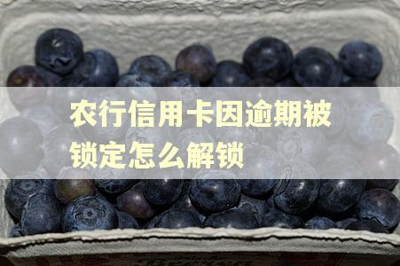 农行信用卡因逾期被锁定怎么解锁