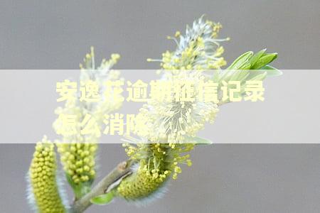 安逸花逾期征信记录怎么消除