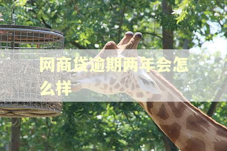 网商贷逾期两年会怎么样