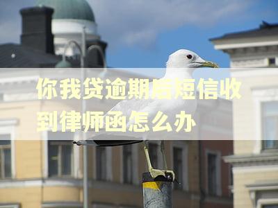 你我贷逾期后短信收到律师函怎么办