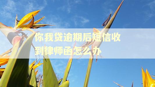 你我贷逾期后短信收到律师函怎么办 你我贷逾期后短信收到律师函怎么办