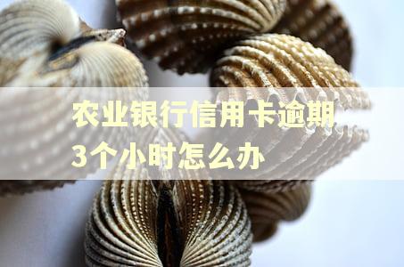 农业银行信用卡逾期3个小时怎么办