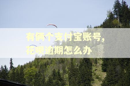 有俩个支付宝账号,花呗逾期怎么办