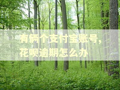 有俩个支付宝账号,花呗逾期怎么办