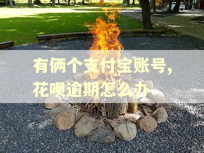 有俩个支付宝账号,花呗逾期怎么办 有俩个支付宝账号,花呗逾期怎么办