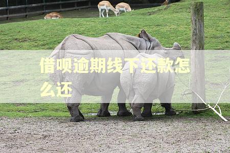 借呗逾期线下还款怎么还