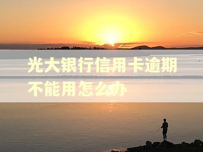光大银行信用卡逾期不能用怎么办 光大银行信用卡逾期不能用怎么办