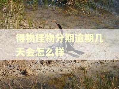 得物佳物分期逾期几天会怎么样