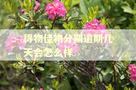 得物佳物分期逾期几天会怎么样