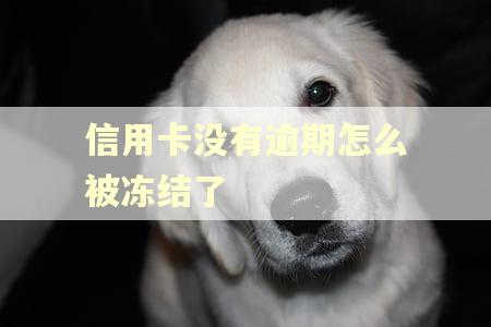 信用卡没有逾期怎么被冻结了 信用卡没有逾期怎么被冻结了