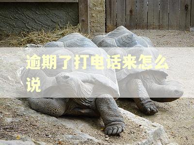 逾期了打电话来怎么说