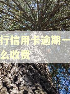 工行信用卡逾期一天怎么收费