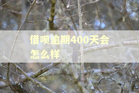 借呗逾期400天会怎么样 借呗逾期400天会怎么样