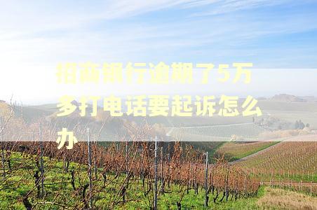 招商银行逾期了5万多打电话要起诉怎么办