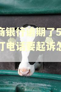 招商银行逾期了5万多打电话要起诉怎么办
