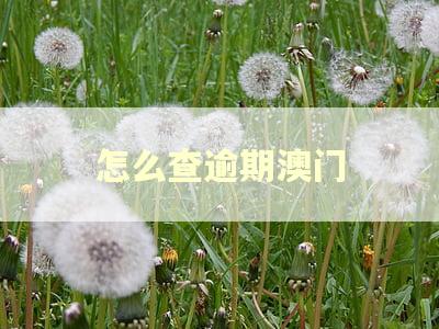 怎么查逾期澳门
