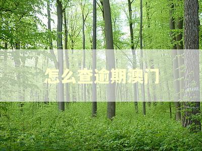 怎么查逾期澳门 怎么查逾期澳门