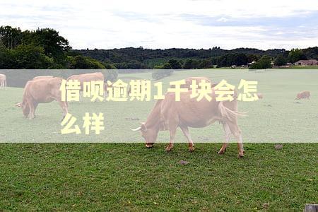 借呗逾期1千块会怎么样
