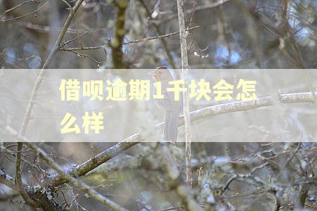 借呗逾期1千块会怎么样