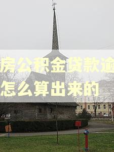住房公积金贷款逾期率怎么算出来的