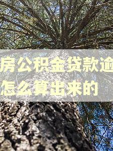 住房公积金贷款逾期率怎么算出来的
