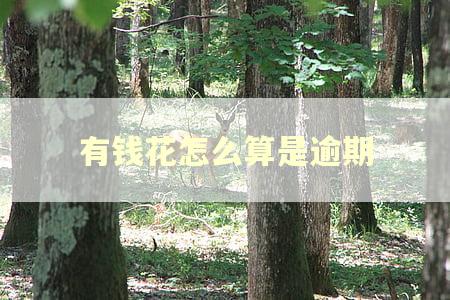 有钱花怎么算是逾期