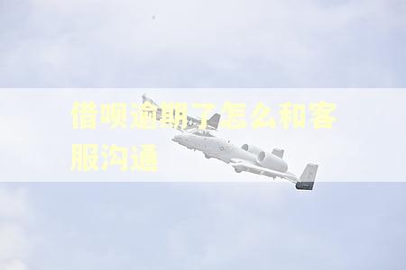 借呗逾期了怎么和客服沟通