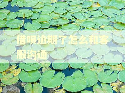 借呗逾期了怎么和客服沟通