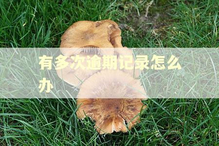 有多次逾期记录怎么办