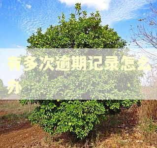 有多次逾期记录怎么办 有多次逾期记录怎么办